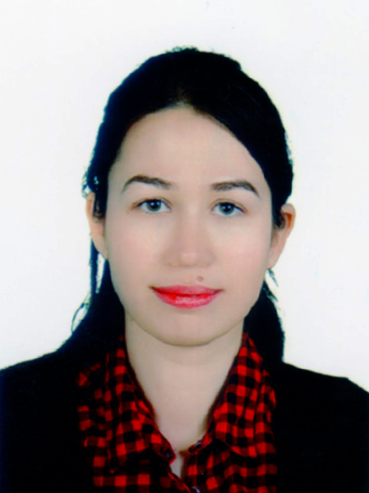 ŞERİFE ER G&Uuml;M&Uuml;Ş