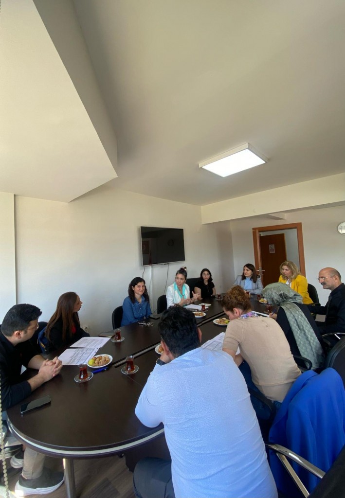 Yüksekokulumuz Tıbbi Laboratuvar Teknikleri Programında Dış Paydaş Toplantısı detayı için tıklayınız